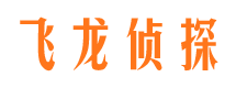 银州市私家侦探